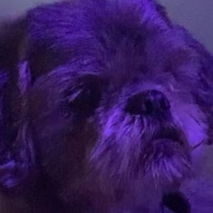 Meet your Posher, Maribel